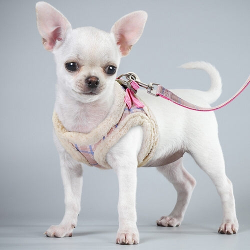 Cute Pet Cat Harness Vest Soft Padded Chihuahua